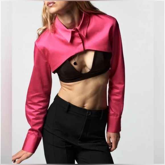 Zara Fuchsia🩷🩷🩷 Poplin Cropped Top - Size Large - NWT - Picture 2 of 7